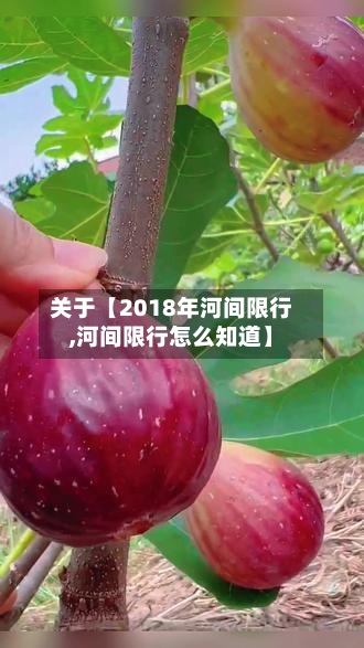 关于【2018年河间限行,河间限行怎么知道】-第3张图片