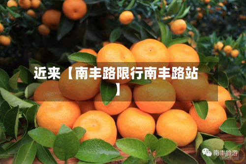 近来【南丰路限行南丰路站】-第2张图片