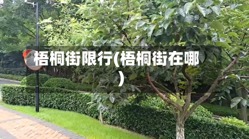 梧桐街限行(梧桐街在哪)-第1张图片