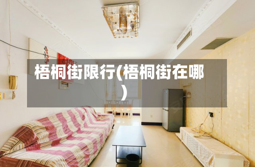 梧桐街限行(梧桐街在哪)-第2张图片