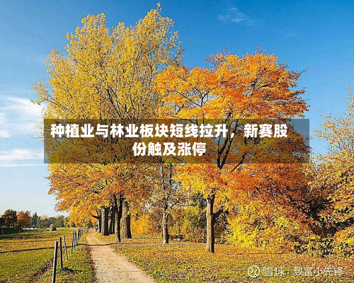 种植业与林业板块短线拉升，新赛股份触及涨停-第1张图片