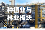 种植业与林业板块短线拉升	，新赛股份触及涨停-第2张图片