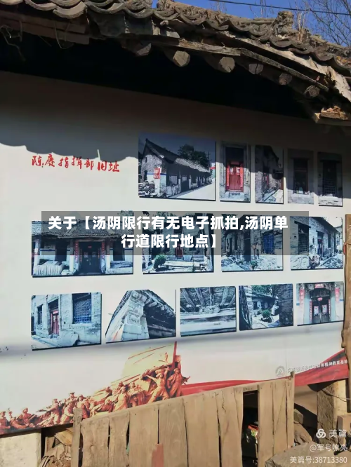 关于【汤阴限行有无电子抓拍,汤阴单行道限行地点】-第1张图片