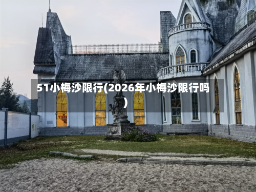 51小梅沙限行(2026年小梅沙限行吗)-第2张图片