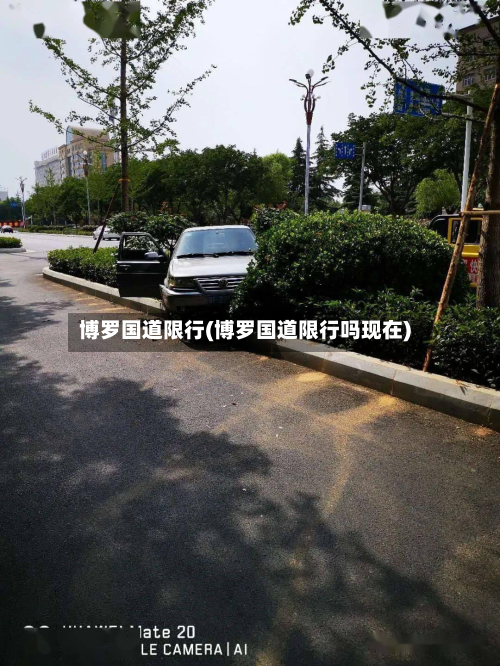 博罗国道限行(博罗国道限行吗现在)-第1张图片