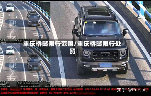 重庆桥隧限行范围/重庆桥隧限行处罚-第2张图片
