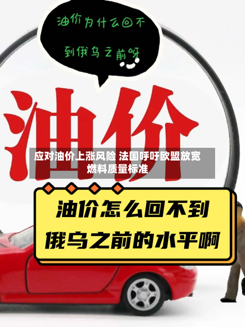 应对油价上涨风险 法国呼吁欧盟放宽燃料质量标准-第1张图片