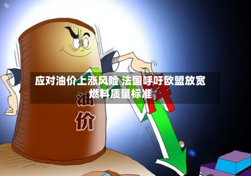 应对油价上涨风险 法国呼吁欧盟放宽燃料质量标准-第2张图片