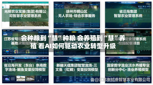 会种粮到“慧”种粮 会养殖到“慧	”养殖 看AI如何驱动农业转型升级-第1张图片