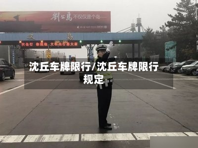 沈丘车牌限行/沈丘车牌限行规定-第2张图片