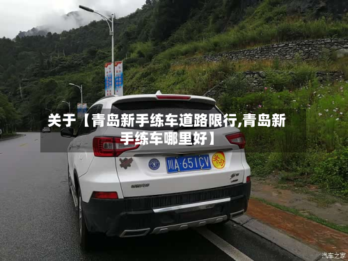 关于【青岛新手练车道路限行,青岛新手练车哪里好】-第1张图片
