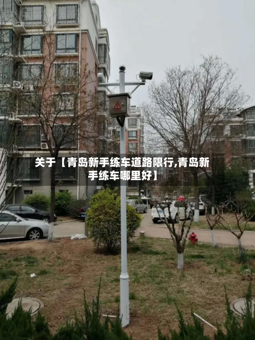 关于【青岛新手练车道路限行,青岛新手练车哪里好】-第2张图片