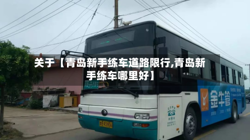 关于【青岛新手练车道路限行,青岛新手练车哪里好】-第3张图片