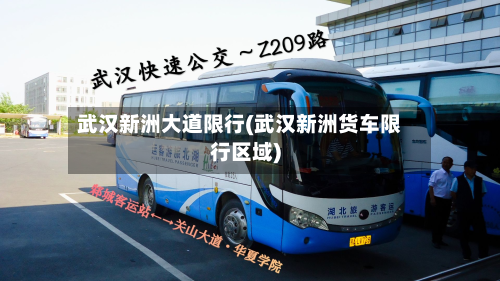 武汉新洲大道限行(武汉新洲货车限行区域)-第1张图片