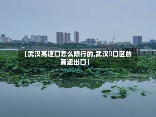 【武汉高速口怎么限行的,武汉硚口区的高速出口】-第2张图片