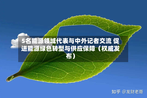 5名能源领域代表与中外记者交流 促进能源绿色转型与供应保障（权威发布）-第2张图片