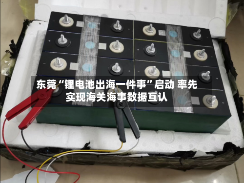 东莞“锂电池出海一件事”启动 率先实现海关海事数据互认-第2张图片
